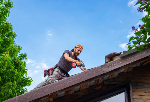 Fast & Reliable Emergency Roof Repairs in Holly Hill, FL