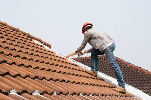 Best Roof Ventilation Installation  in Holly Hill, FL